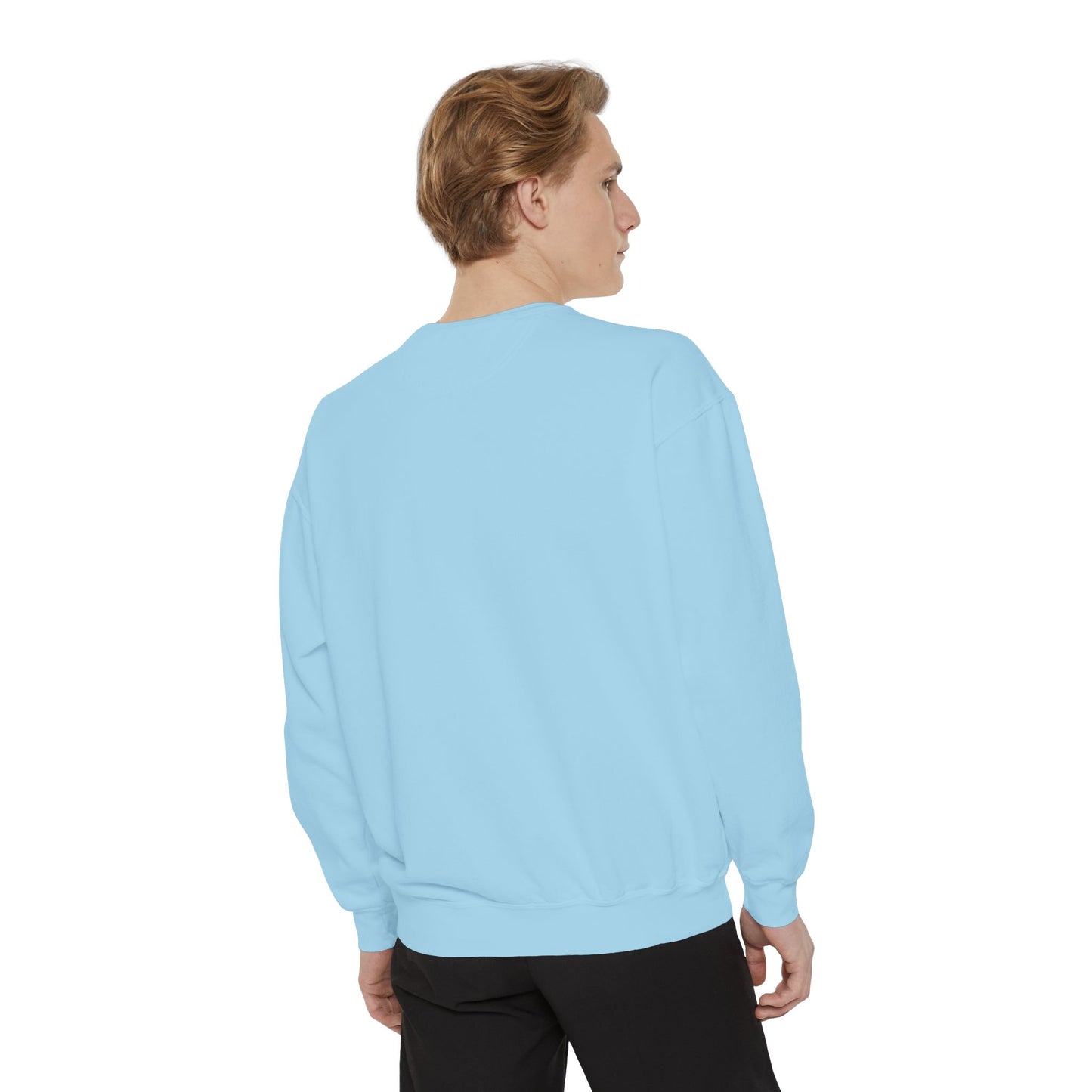 Anime Character Cartoon Sweatshirt - Stylish Shirts For Teenagers And Kids - Anime Lovers