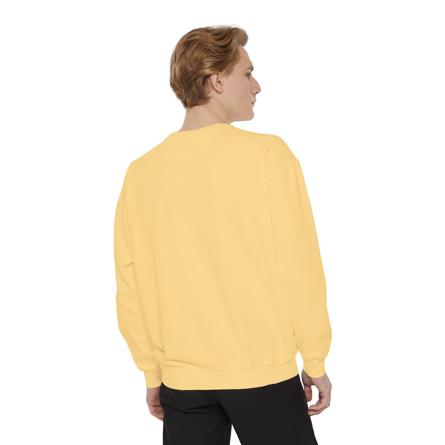 Anime Character Cartoon Sweatshirt - Stylish Shirts For Teenagers And Kids - Anime Lovers