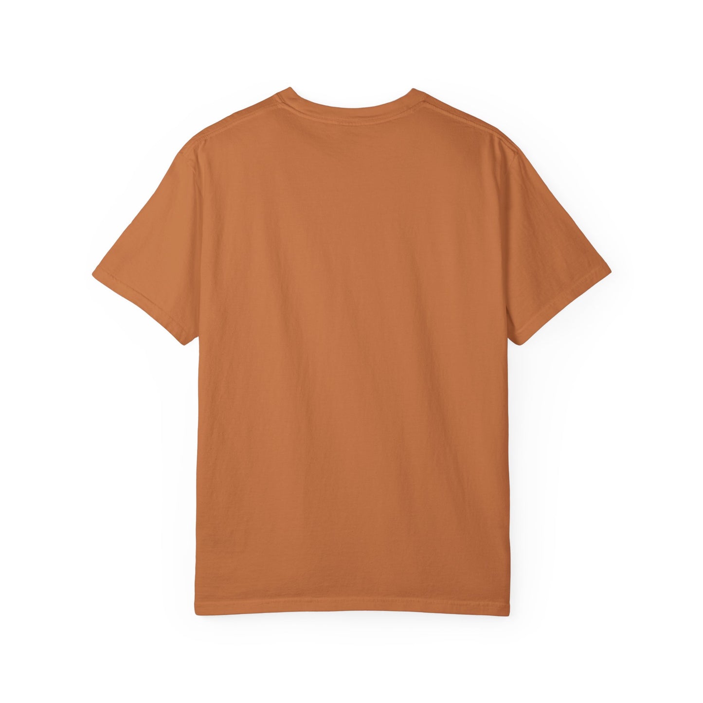 Cat T-shirt Simple Design - Unisex Garment-Dyed